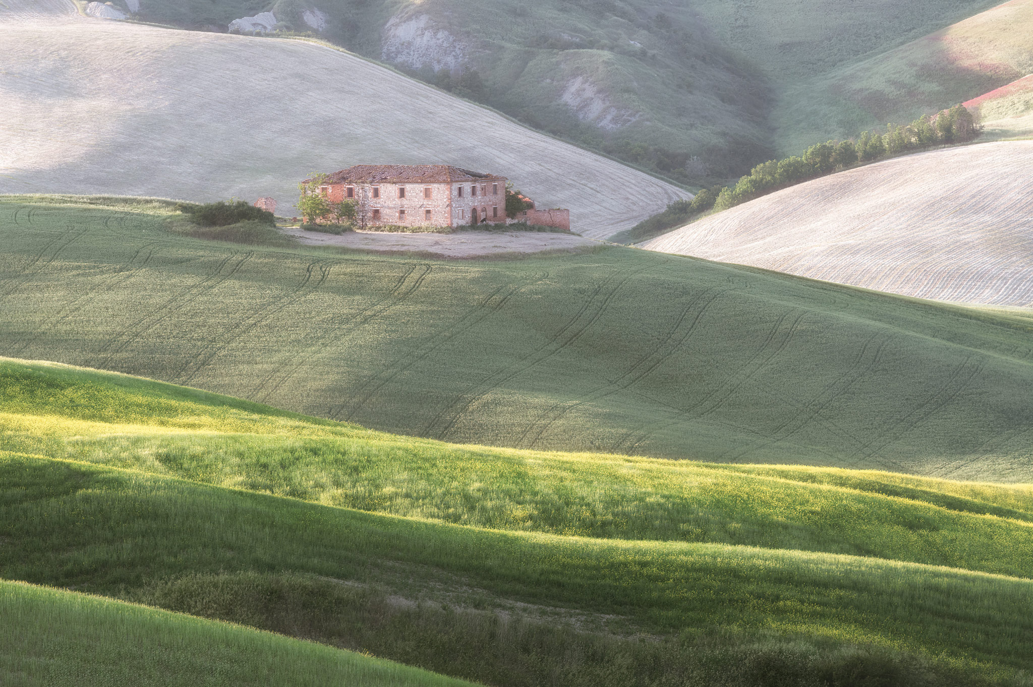 Palazzina, Asciano
